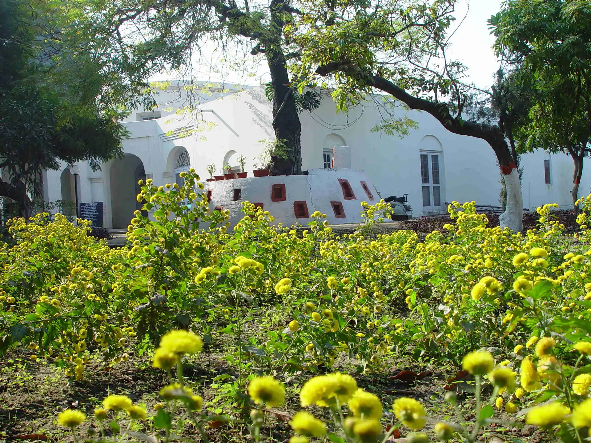 amritsar niwas asthan (1)